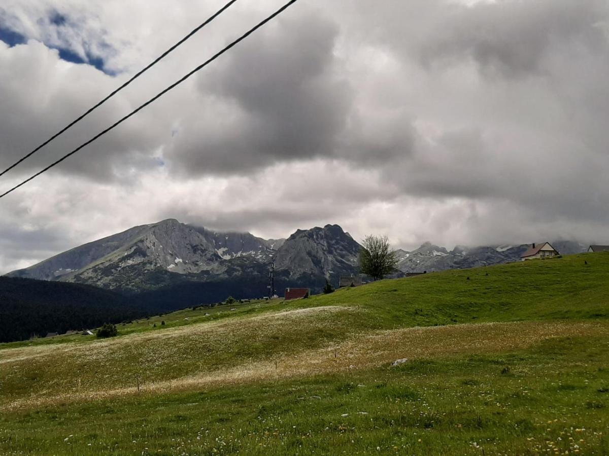 Vila Aleksandar Zabljak  Luaran gambar