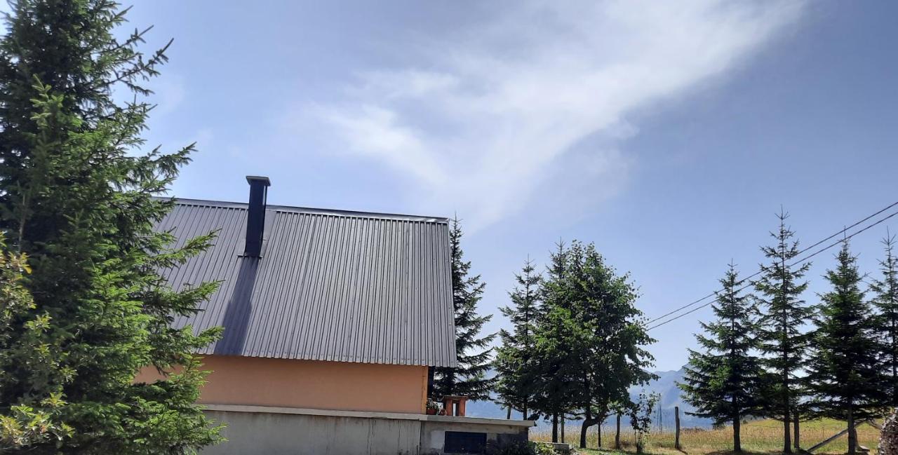 Vila Aleksandar Zabljak  Luaran gambar